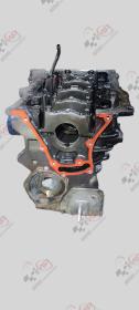 BLOC MOTEUR RENAULT MEGANE III 1.9 DCI 130 CH F9Q872